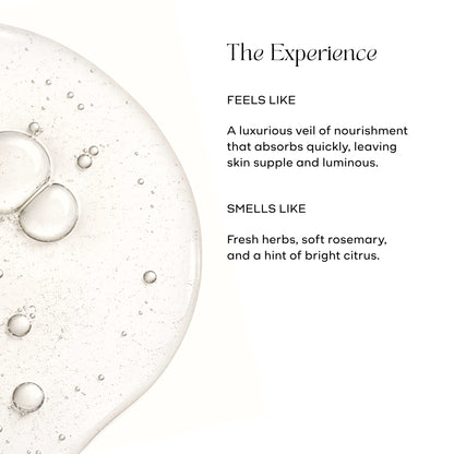 Vulé Skin Radiance Facial Oil